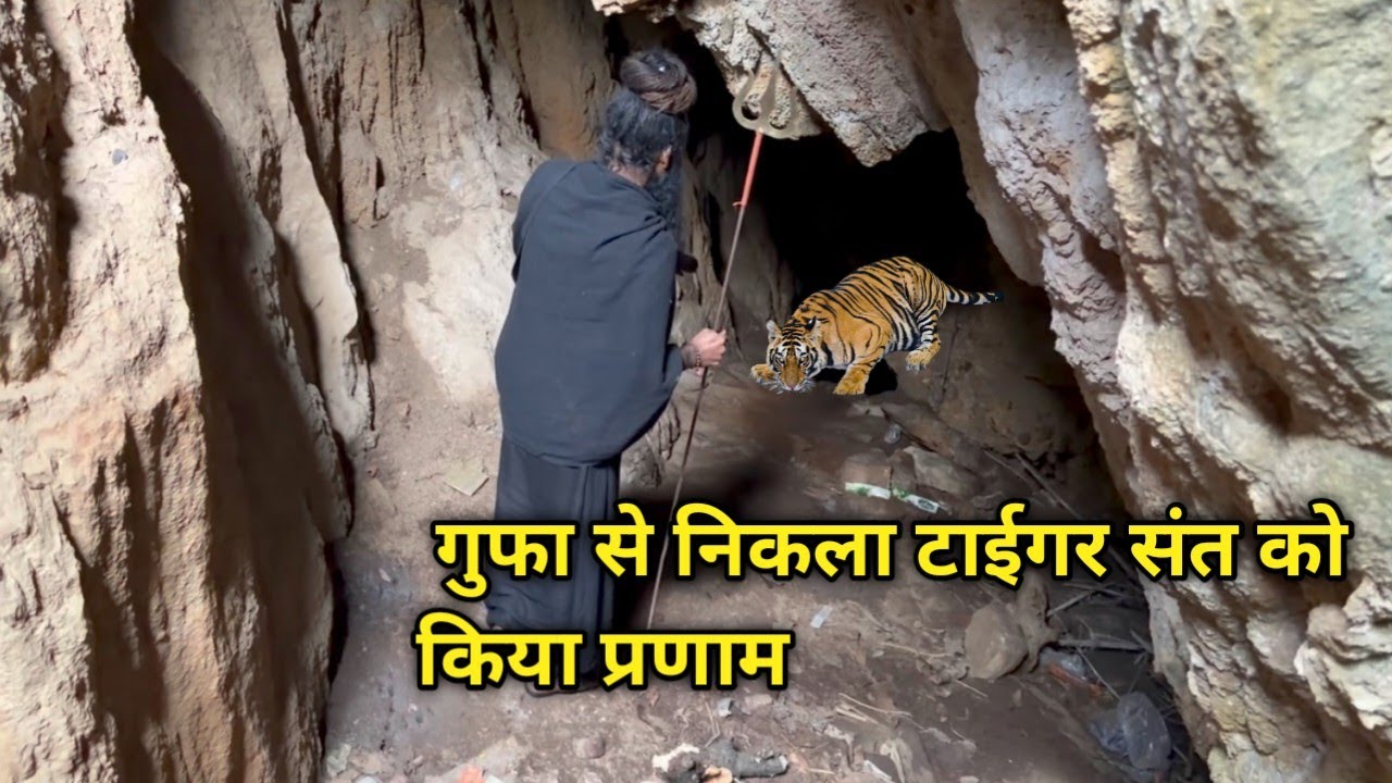 गुफा के 70 फीट नीचे संत की तपस्या बीहड़ घने जंगल में जंगली जानवरों के बीच