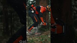 Reicht eine Säge im Wald? 🌲 🪚 Schreibt mal bitte alle, wer nur mit einer Säge in den Wald geht! 🫣