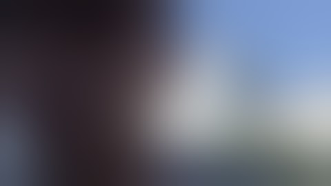 Qaib Qus 100%, Gà rừng Rặc