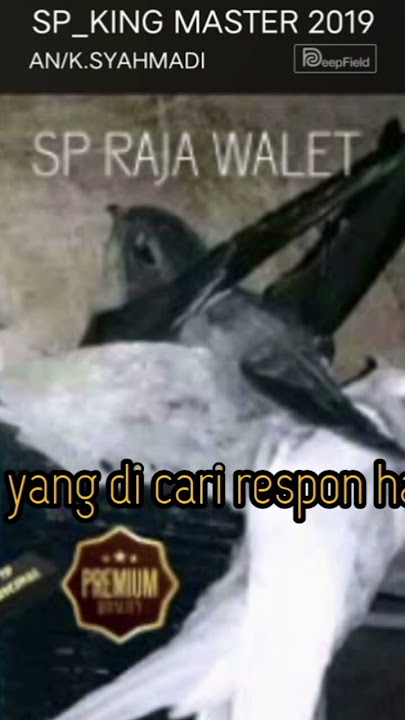 link download MP3 👇ada di deskripsi SP KING MASTER