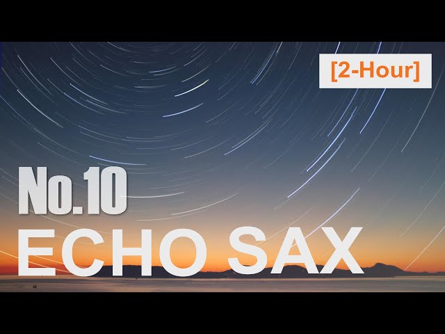 “Echo Sax No. 10 (2-Hours)” by Caleb Arredondo class=