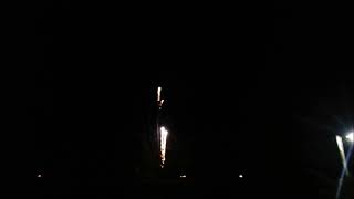 Show 100 Tiros Palmeras De Colores Pow Fuegos Artificiales