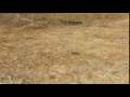 Parrot Bebop2 OUT OF FOCUS