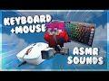 Keyboard + Mouse Sounds ASMR [Solo Bedwars]