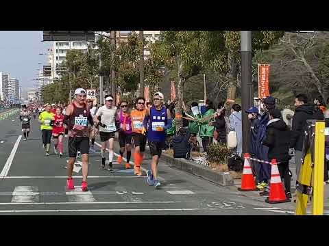 第61回愛媛マラソン ゴール直前 (南堀端)にて、4時間30分ペースランナーまでの数十分。