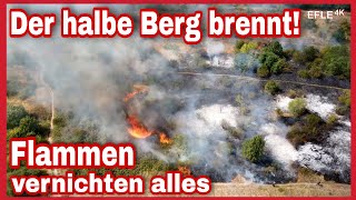 [LODERNDE FLAMMEN!]Noch beim Löschen bricht in Sichtweite Großbrand auf Berg in Schönauer Lachen aus