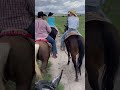Cabalgata con las primas gringas #shorts #caballos #viral