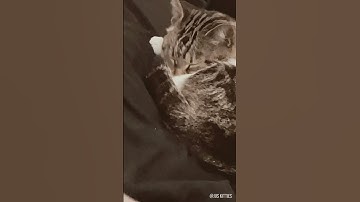 What about this sleeping position?