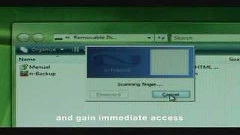 Fingerprint Biometric Authentication into Web Accounts