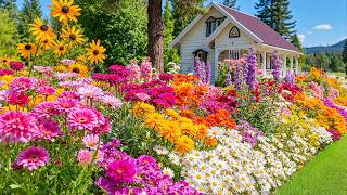 You Won’t Believe This Flower Garden Is Real 🌸 A Peaceful Escape for Your Mind 💗