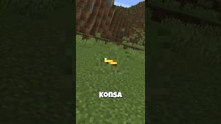 The SMALLEST Block in Minecraft? 😱 #minecraft