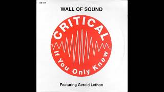 Wall Of Sound - Critical (Mood II Swing Slammin' Dub) Eightball