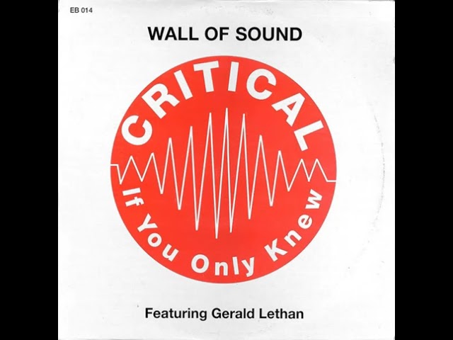 Wall Of Sound - Critical (Mood II Swing Slammin' Dub) Eightball