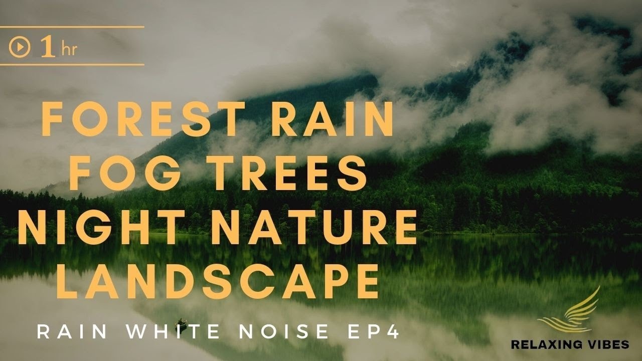 The Only forest rain sound fog tree nature landscape Video You Need to Watch | EP4