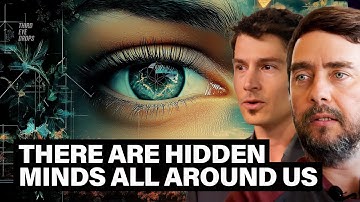 Hidden Consciousness & The Living Patterns That Shape Reality | Michael Levin & Matt Segall