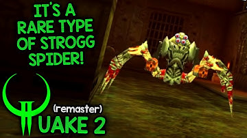 THIS IS ONE STRONG STROGG SPIDER! – Let