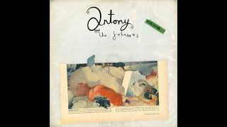 Antony And The Johnsons ‎- Violetta