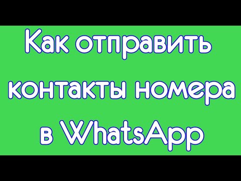 Как отправить контакты номера в WhatsApp