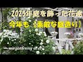 【素敵な庭造り】＃2026年もよろしくお願いします　＃2025年の庭を飾ってくれた花達