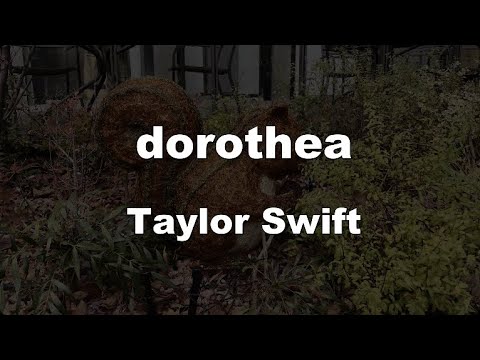 Karaoke♬ dorothea - Taylor Swift 【No Guide Melody】 Instrumental