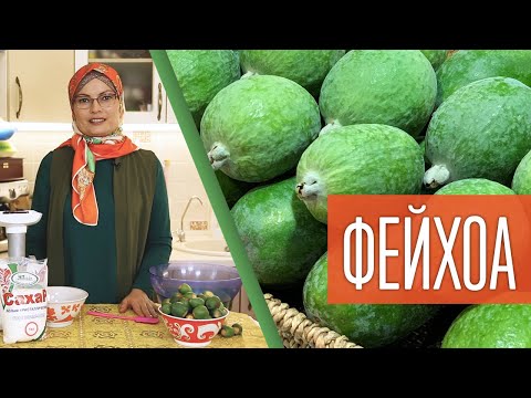 ФЕЙХОА: время делать запасы на зиму!