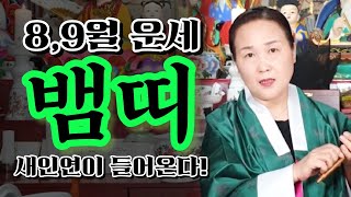 [계묘년 8,9월 뱀띠 운세]나이대별운세 한달사주 신점 영점 용한점집 경기도점집 안양점집 만안구점집 점집추천…