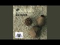 Miniature de la vidéo de la chanson Symphony No. 3 In E-Flat Major, Op. 55 “Eroica”: Iv. Finale. Allegro Molto