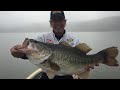 Trophy Bass Angler, Chuck Justice