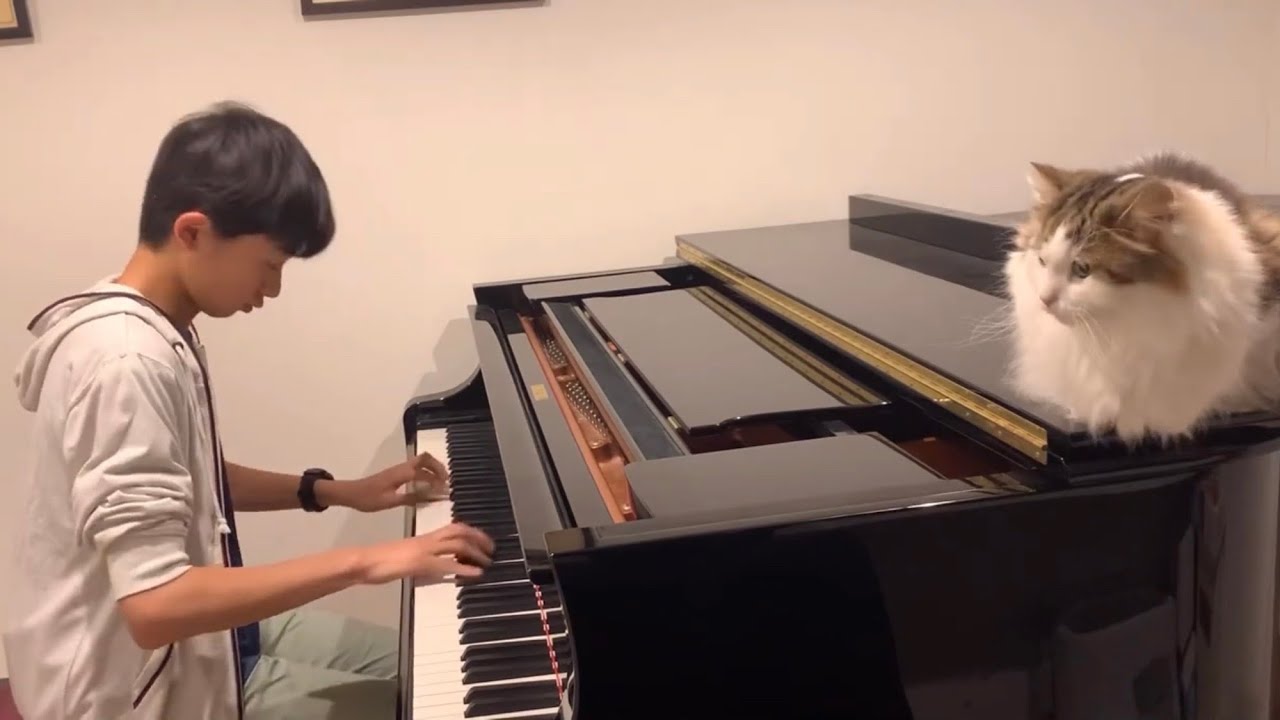 J.S.Bach : English Suites No.3 