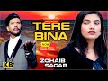 Zohaib sagar  viral song tere bina  full  official  kb production