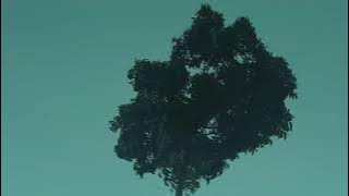 #Syahiba Saufa ~ Koplo Jaranan Full Album