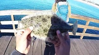 Went fishing on the weekend with my buddy jimmy and paul. we had a
blast catching jack smelt all day, second day i only landed halibut
one mackerel. th...