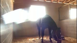 342417c8366046d9bb0c54e50a1bda45 1