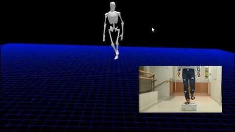 Foot-Rooted Body Motion Capture by IMU Sensors