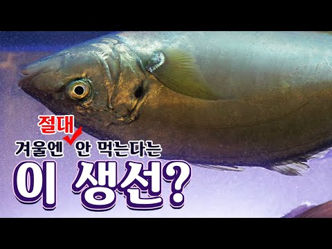 2월제철과일