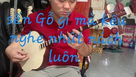 thử đàn sến Gỗ cẩm lai từ A-Z.  mời quý khách tham khảo ạ 0987994759