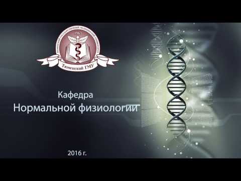 Видео: Кто эмульгирует жиры в тонком кишечнике?