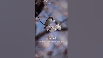 سوره مبارکه زمر، آیه ۹🔹️گوینده: بهروز رضوی 🔹️مترجم: مسعود ریاعی