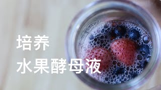 用水果酵母做面包 How to Make Fruit Wild Yeast starter