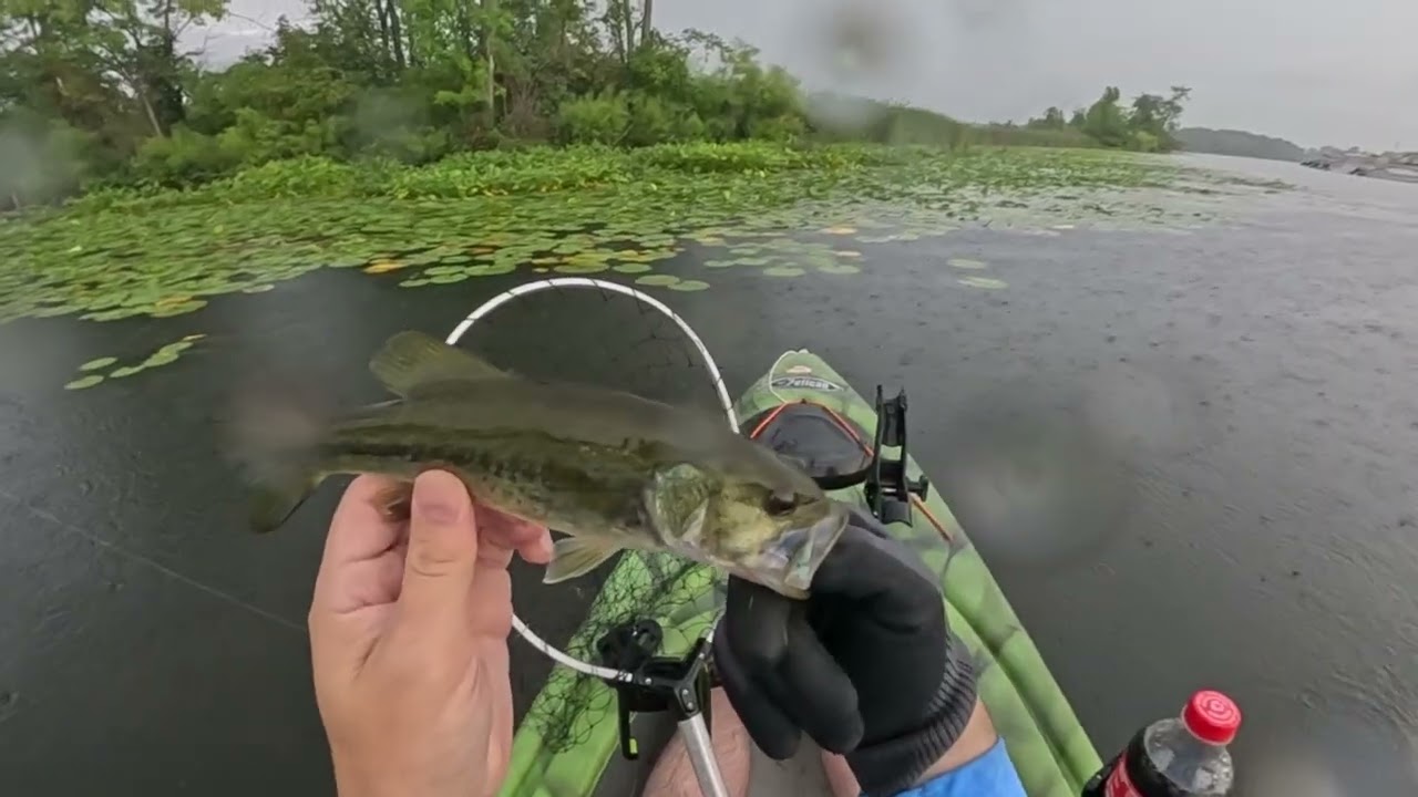 Kayak Fishing in the Rain: Frog Lure Practice & Big Bass on a Plastic Worm