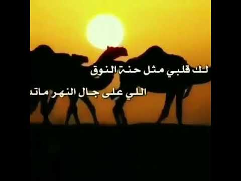 يحن الك قلبي مثل حنت النوق