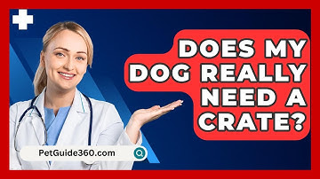 Does My Dog Really Need A Crate? - PetGuide360.com