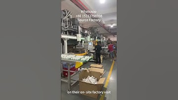 Bochuan Source Factory Tour: Indian Customers Inspect Vertical Bulb Injection Molding Machine