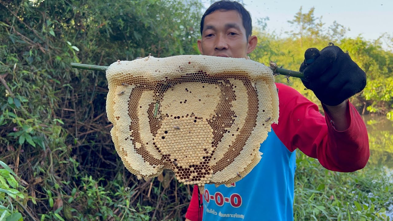 ใหญ่สะใจมาก หารังมิ่มมาย่างทาเกลืออีกแล้วติดใจแซ่บคัก