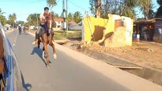 Dossa horse riding stable