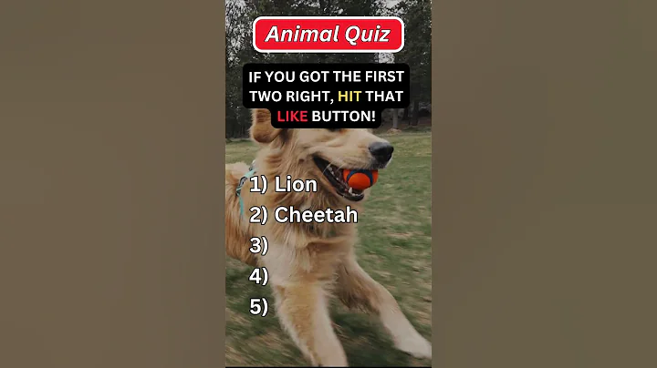 Quiz time, can you get 5/5 in this animal quiz ? #trivia  #facts #animals #quiztime