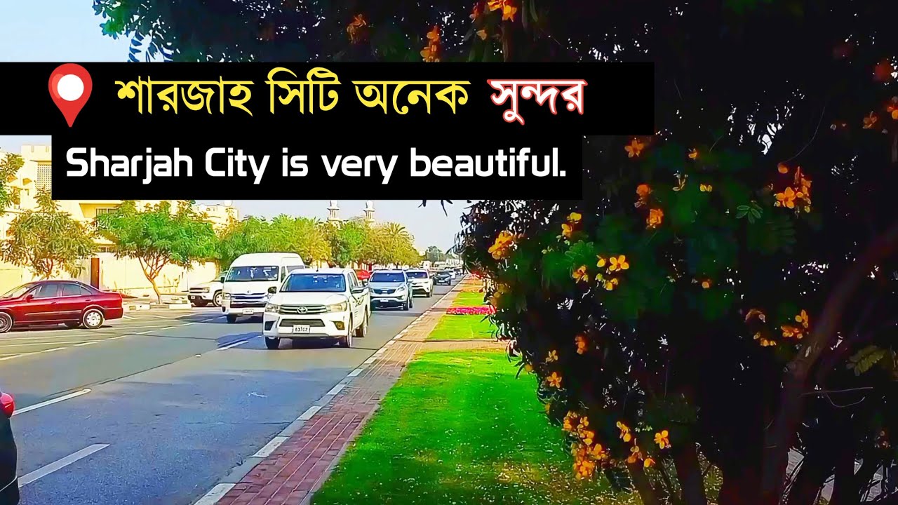 শারজাহ সিটি অনেক সুন্দর | Sharjah City is very beautiful #sharjahcity #beautiful #Road  #UAE 