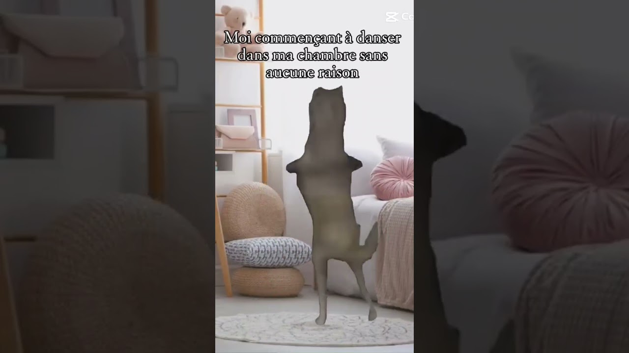 ✨️IRLINIQUE ✨️😝