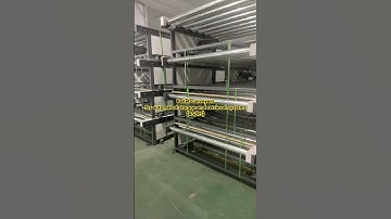 Pallet conveyors for automated storage and retrieval systems (AS/RS)