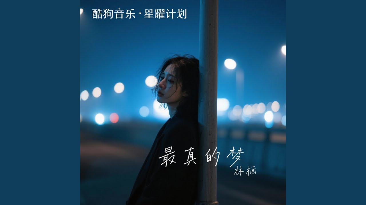 最真的梦（My Truest Dream）-林栖版